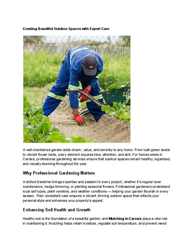 PDF document image preview