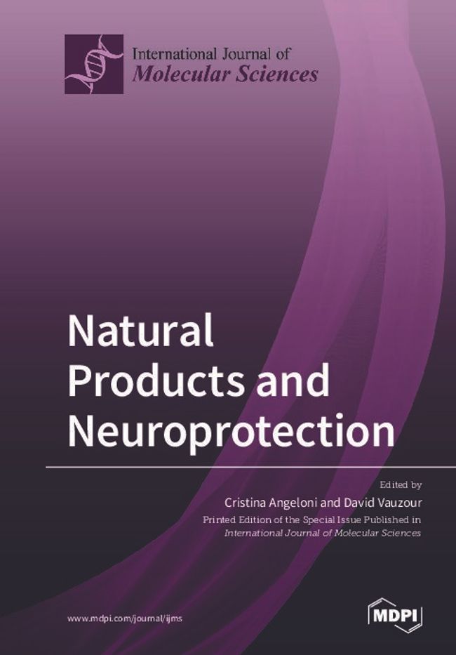 PDF document image preview