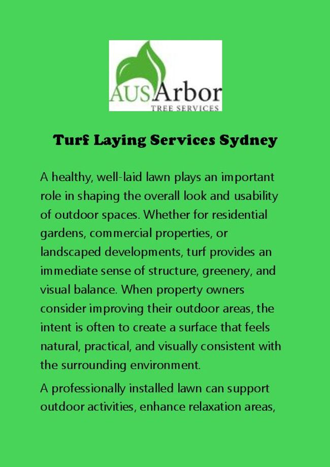 PDF document image preview