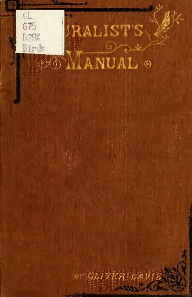 Visualização da imagem do documento PDF