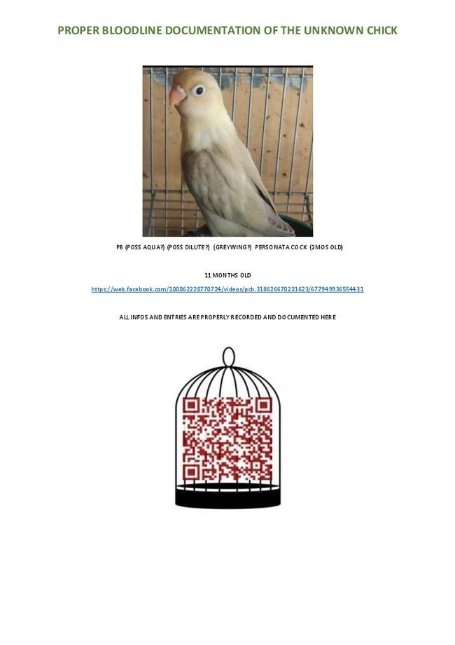 Anteprima d'immagine di documento PDF