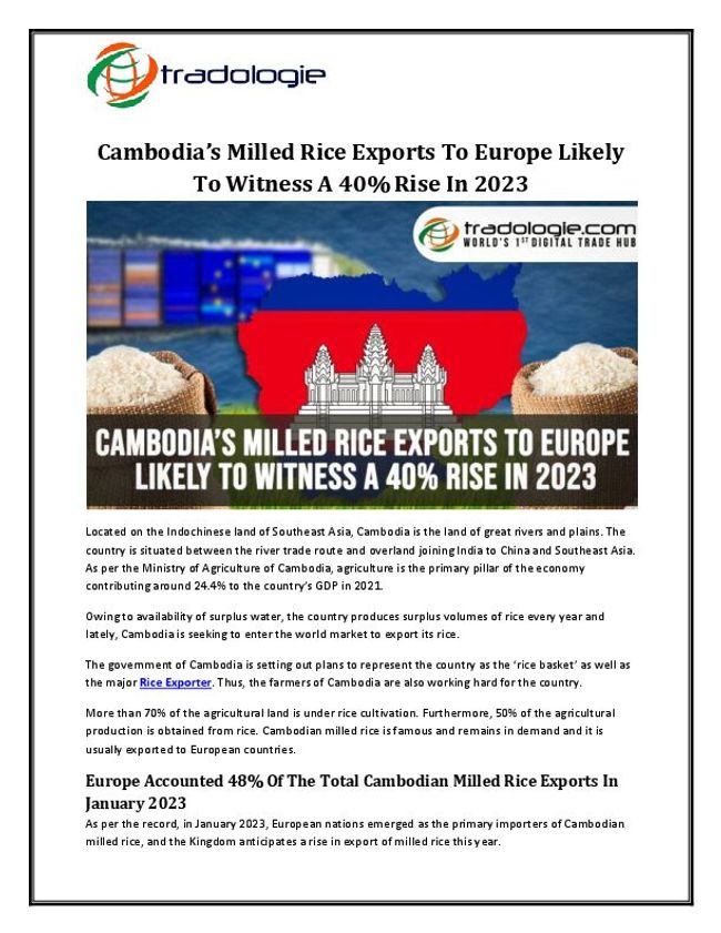 PDF document image preview