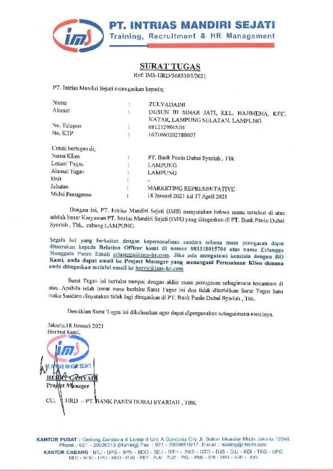 PDF document image preview