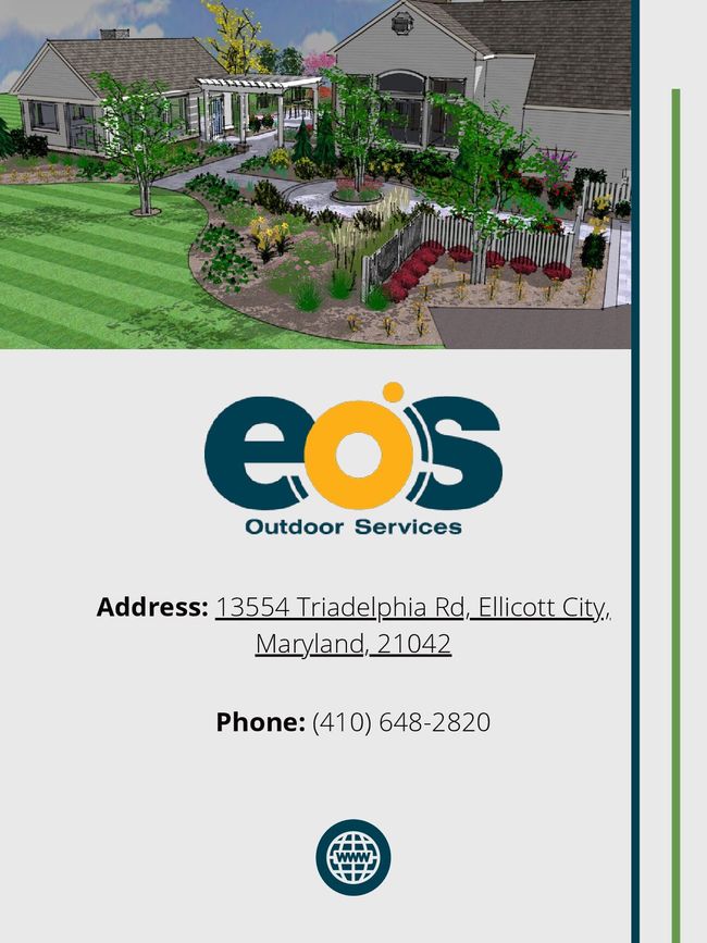 PDF document image preview