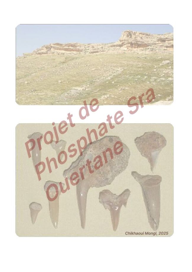 PDF document image preview
