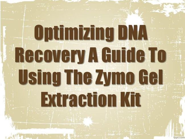 PDF document image preview