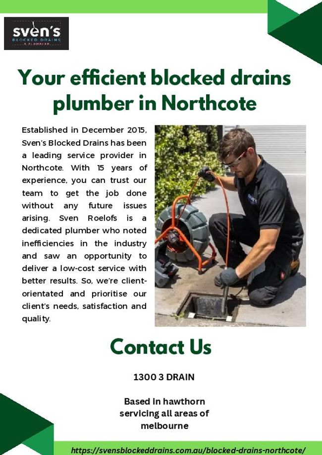 PDF document image preview