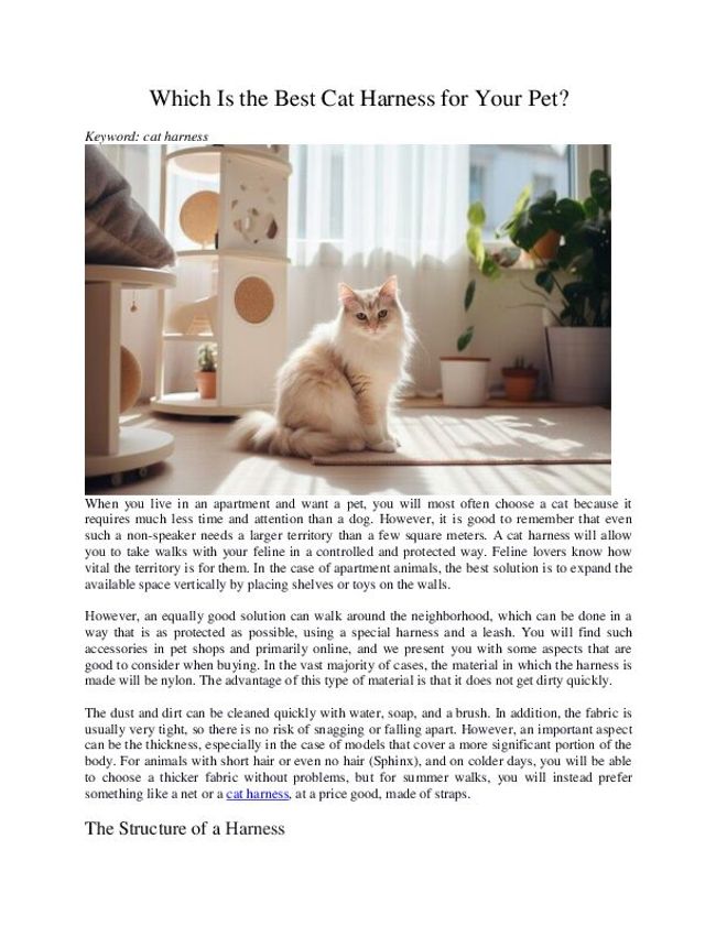 PDF document image preview