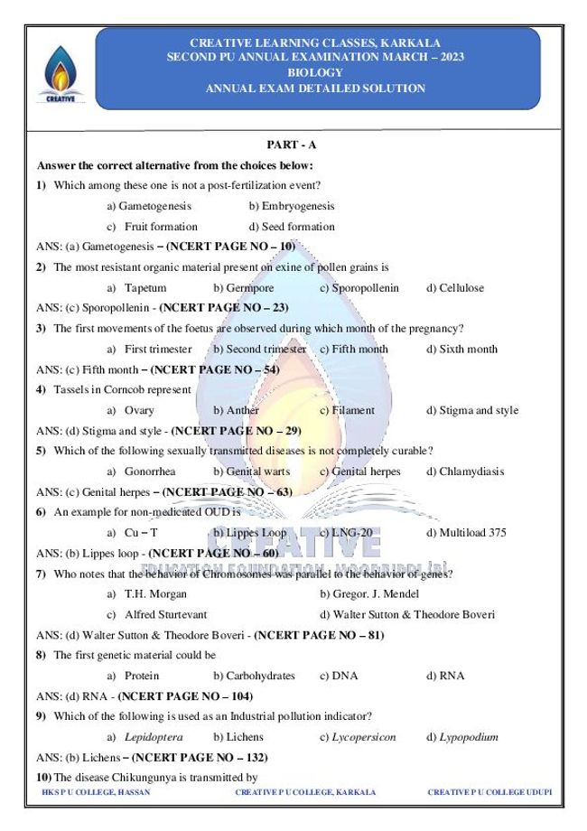PDF document image preview
