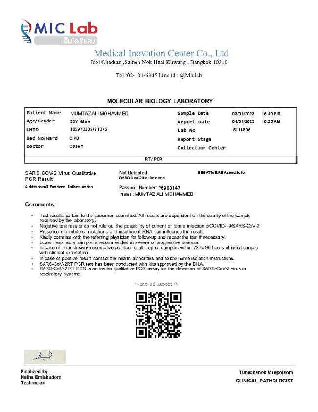 PDF document image preview