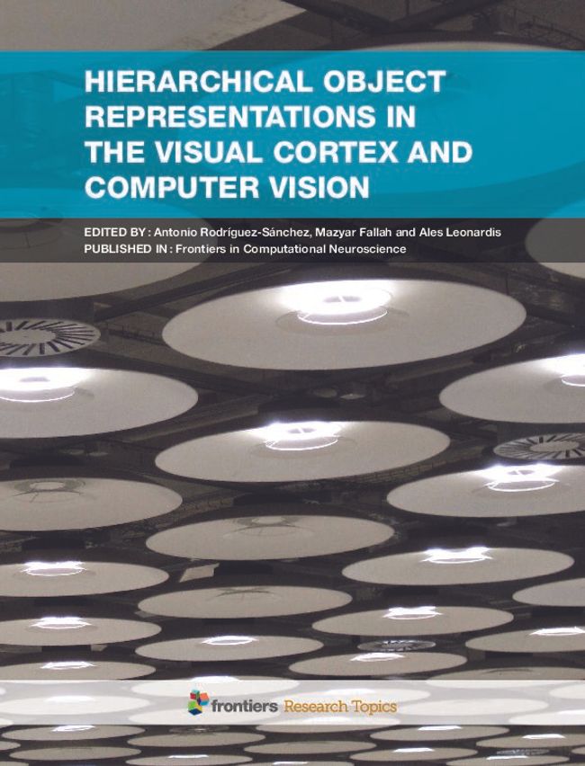 PDF document image preview