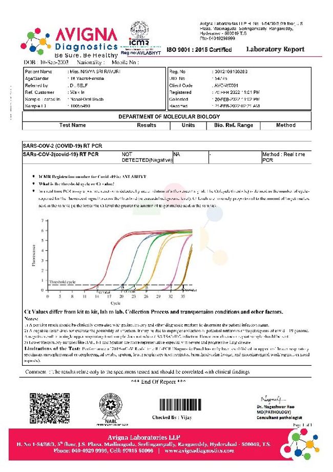 PDF document image preview