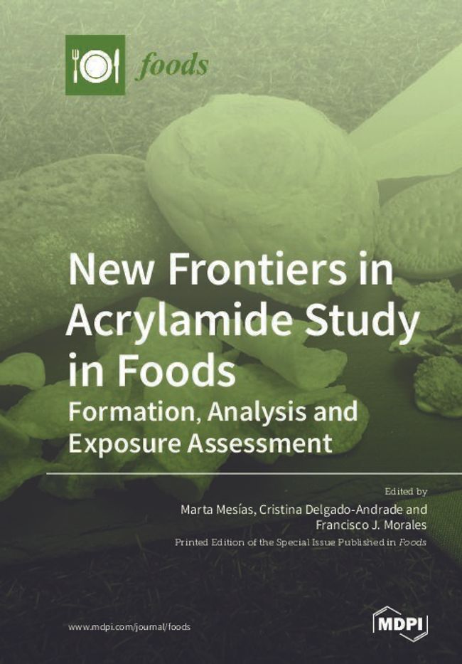 PDF document image preview