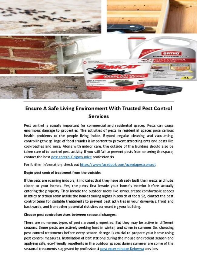 PDF document image preview