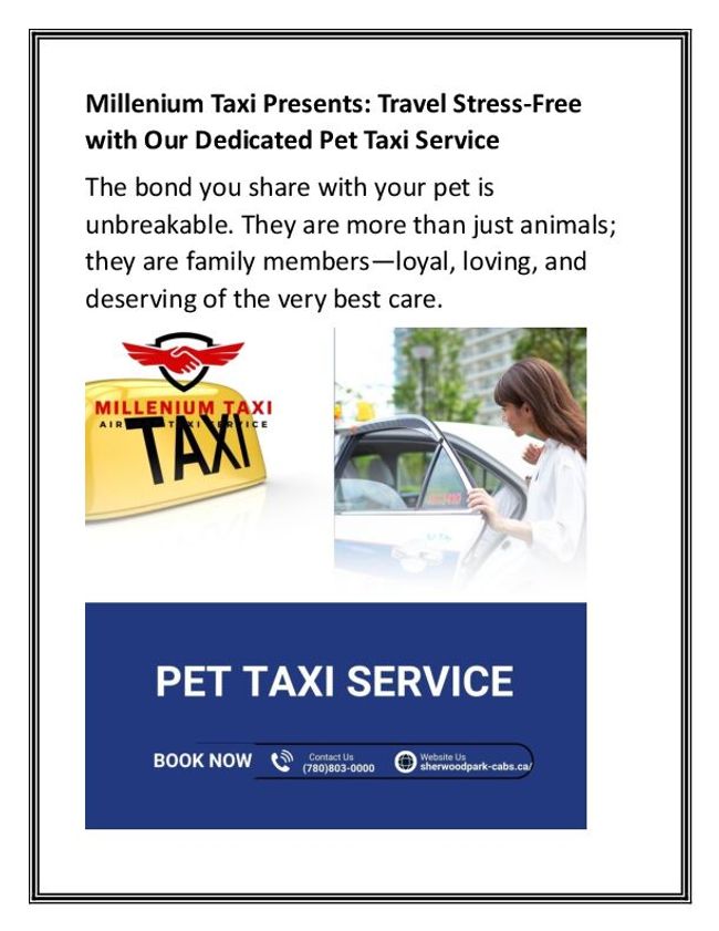 PDF document image preview