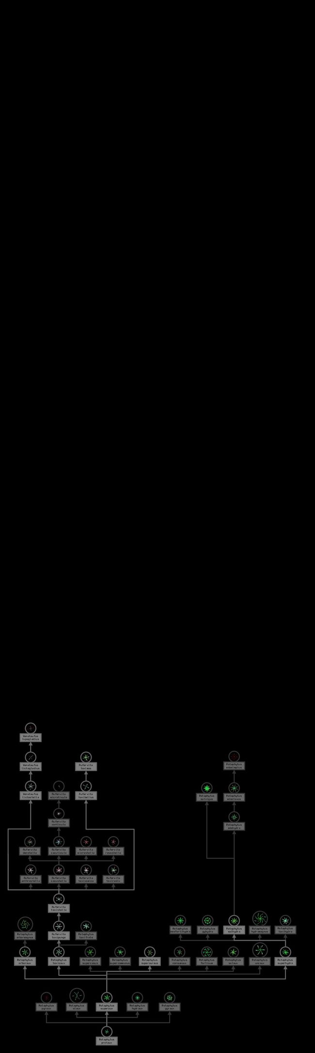 PDF-Dokument vorschau