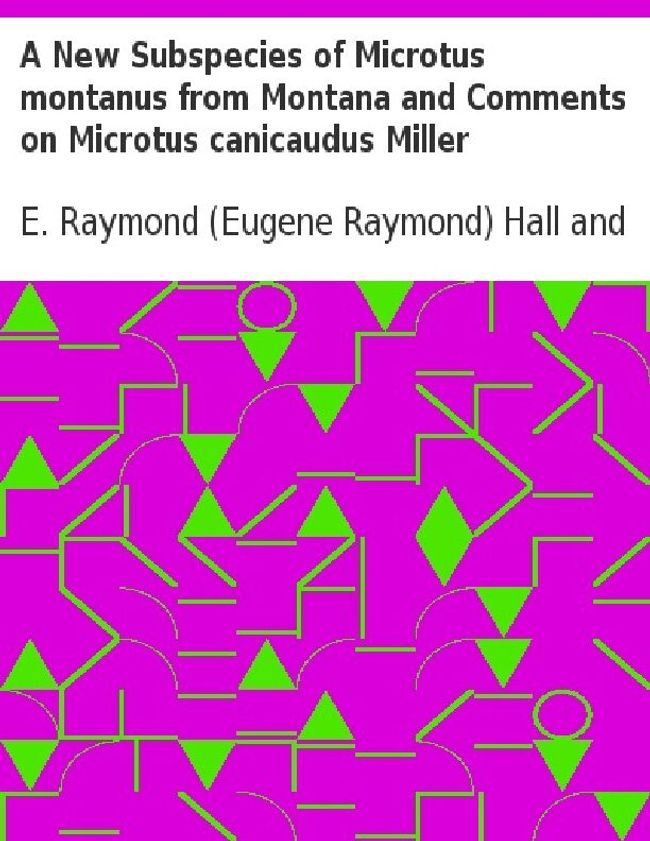 PDF document image preview