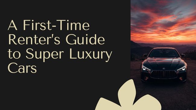 PDF document image preview