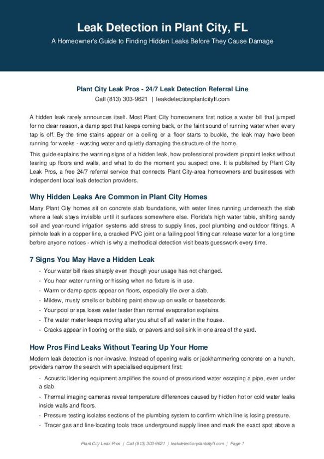 PDF document image preview
