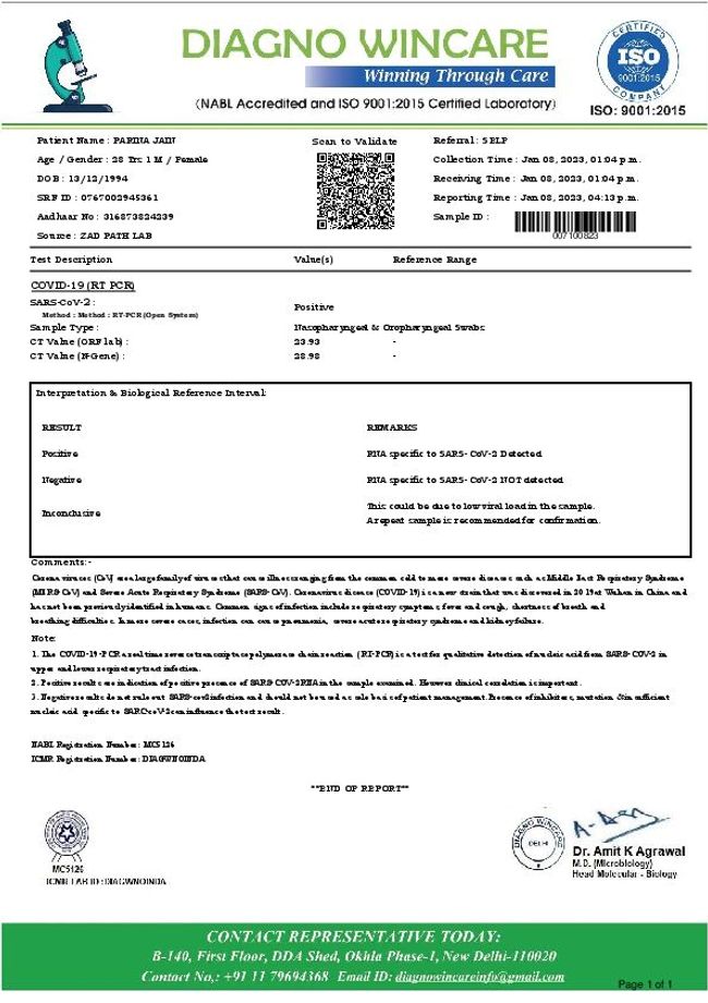 PDF document image preview