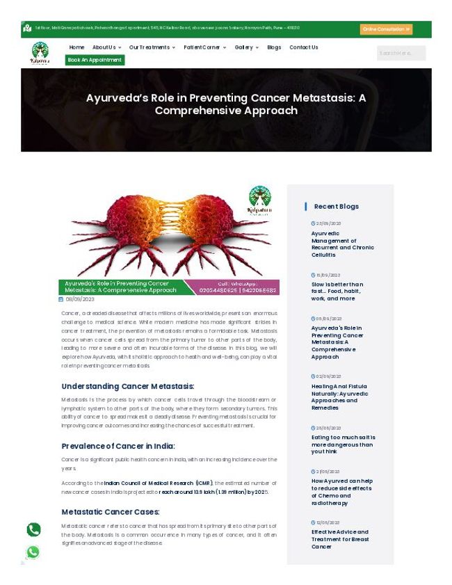 PDF document image preview