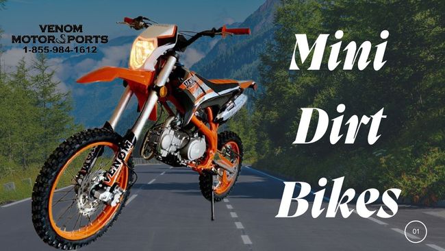 Visualização da imagem do documento PDF