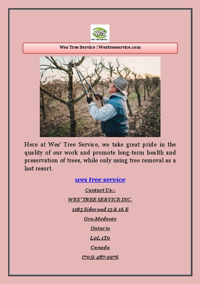 PDF document image preview