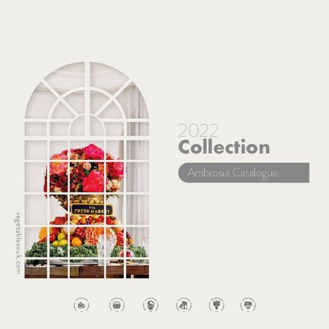 PDF document image preview