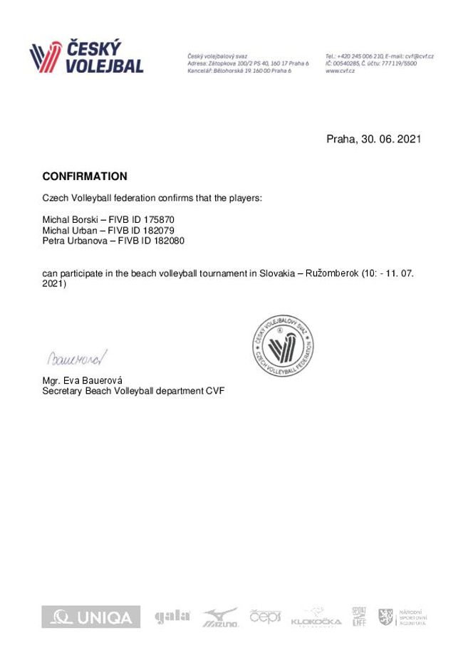 PDF document image preview