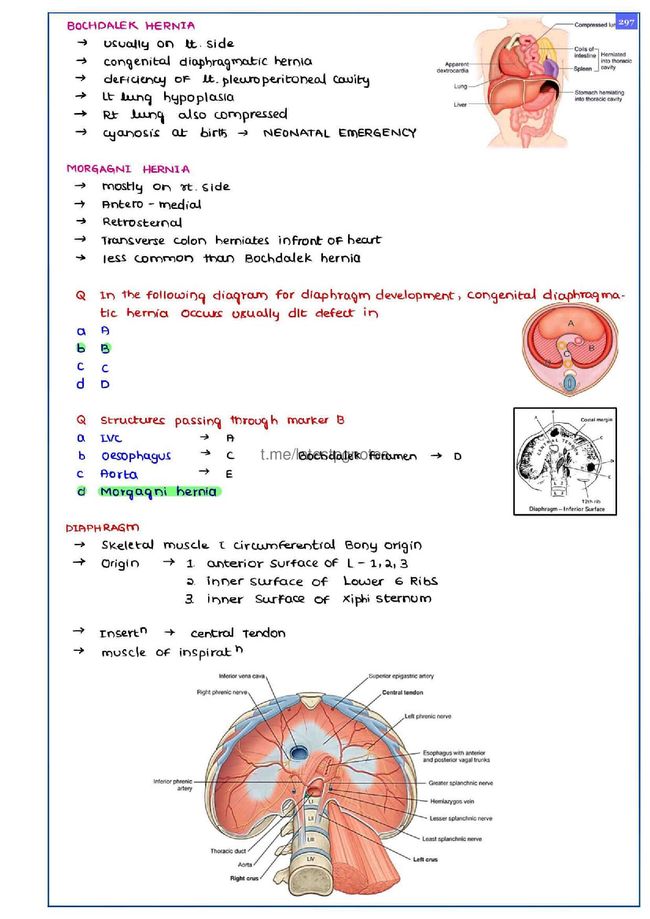 PDF document image preview