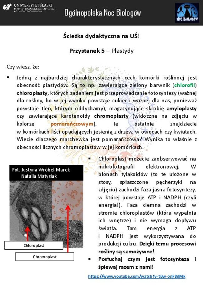 PDF document image preview