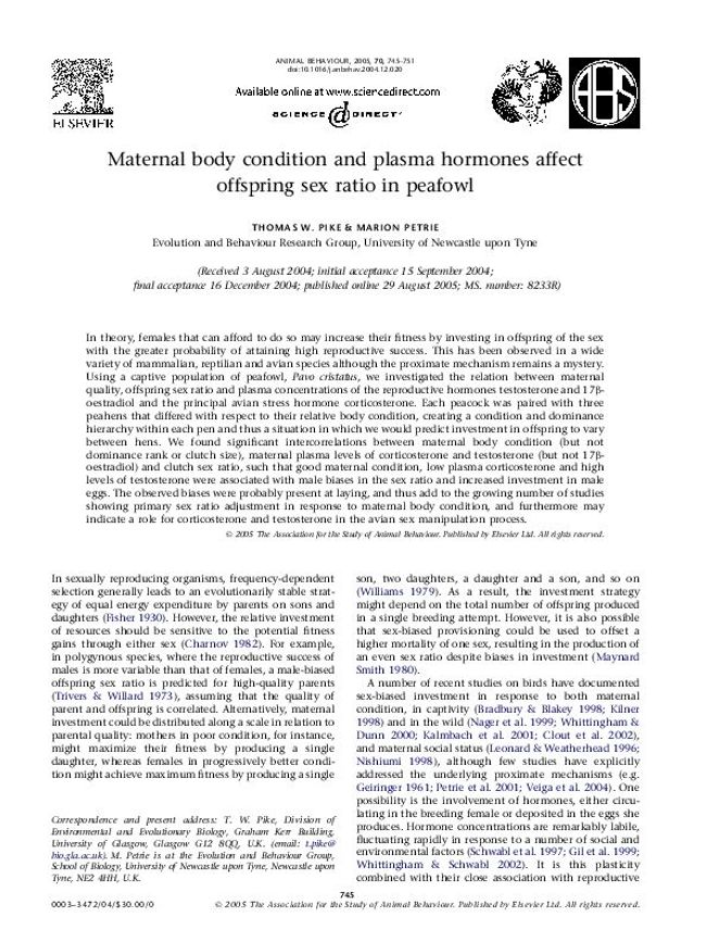 PDF document image preview