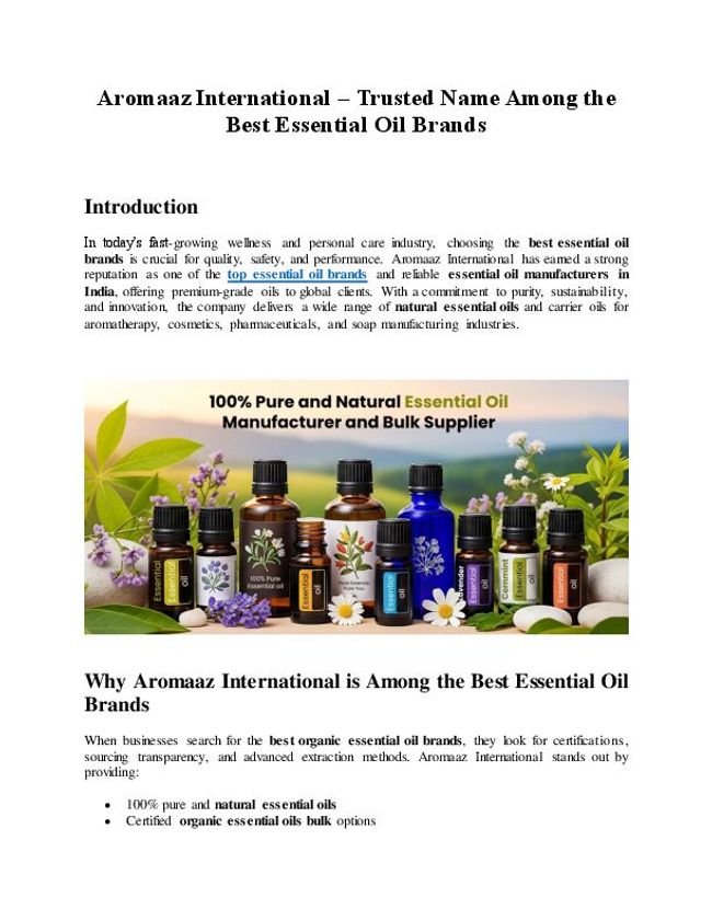 PDF document image preview