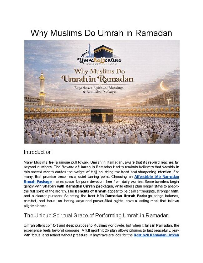 PDF document image preview