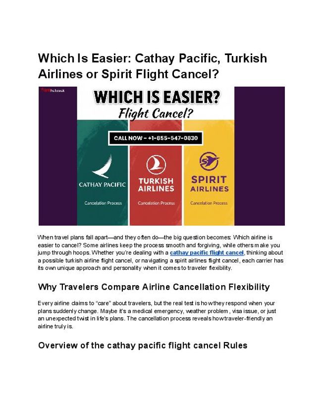 PDF document image preview