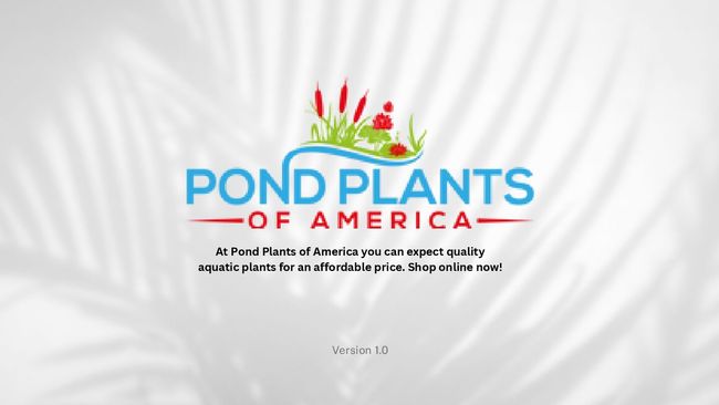 PDF 文件图像预览