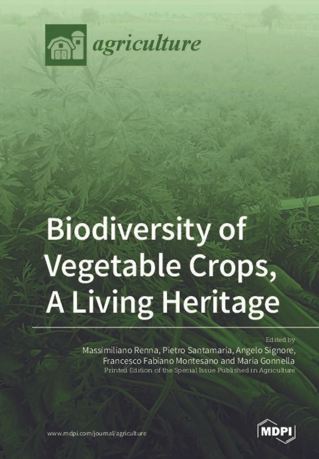 PDF document image preview