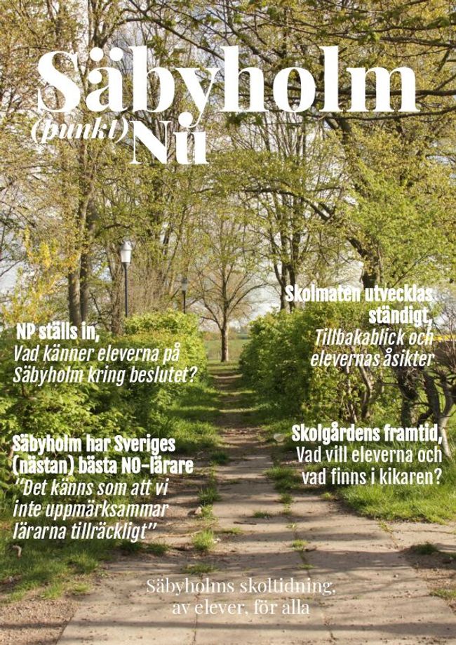 PDF document image preview