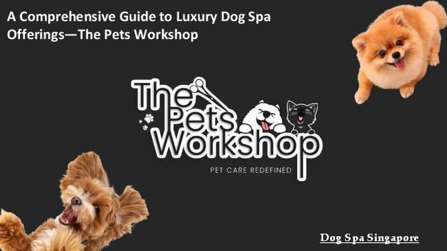 PDF document image preview