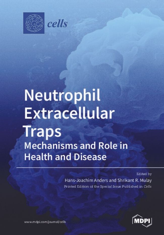 Visualização da imagem do documento PDF