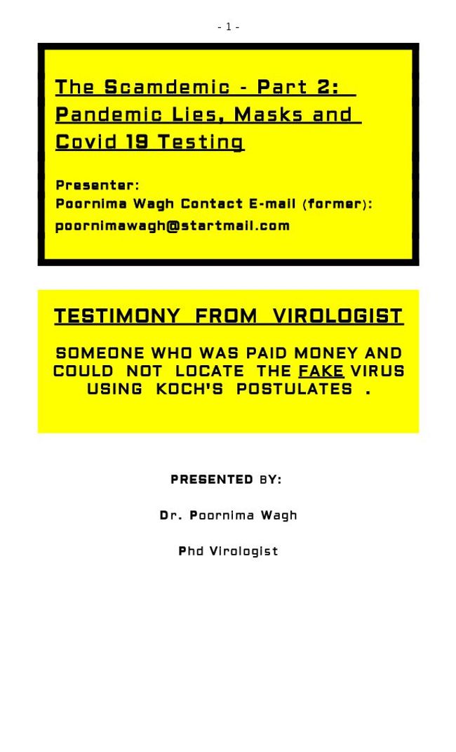 PDF document image preview