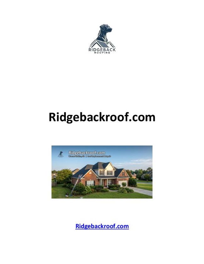 PDF document image preview
