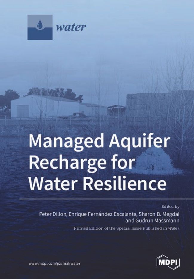 PDF document image preview