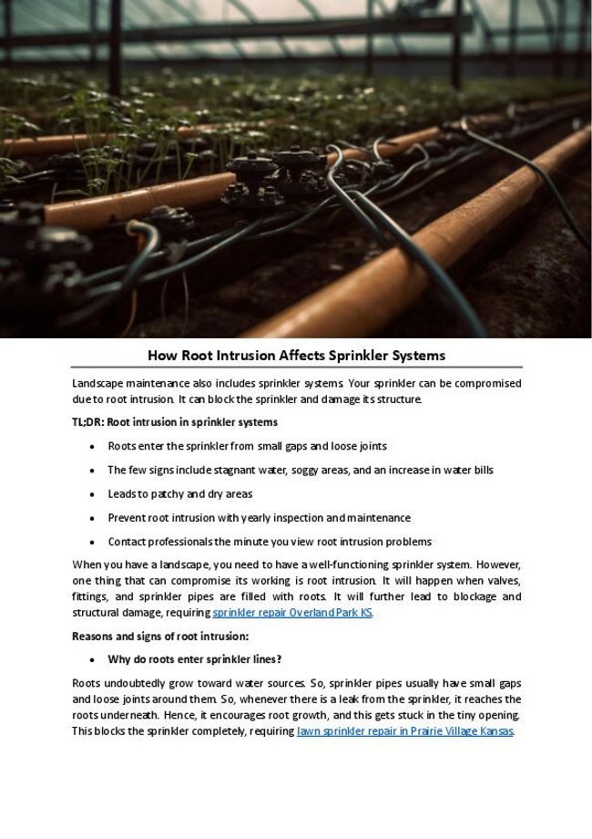 PDF document image preview