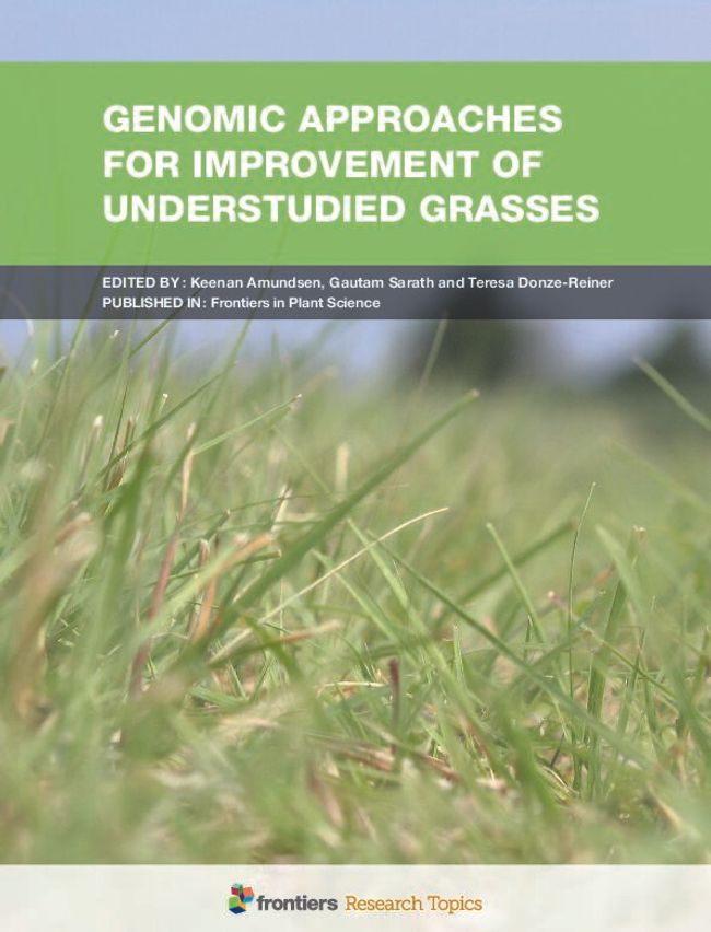 PDF document image preview