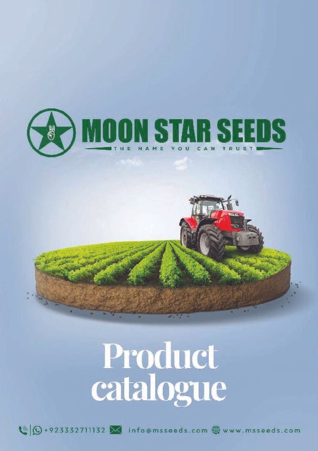 PDF document image preview