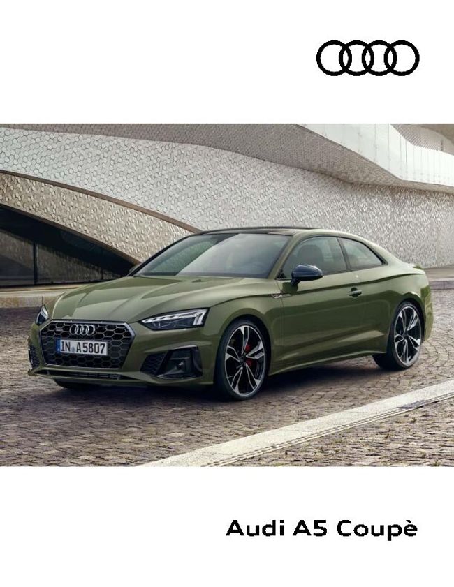 PDF document image preview