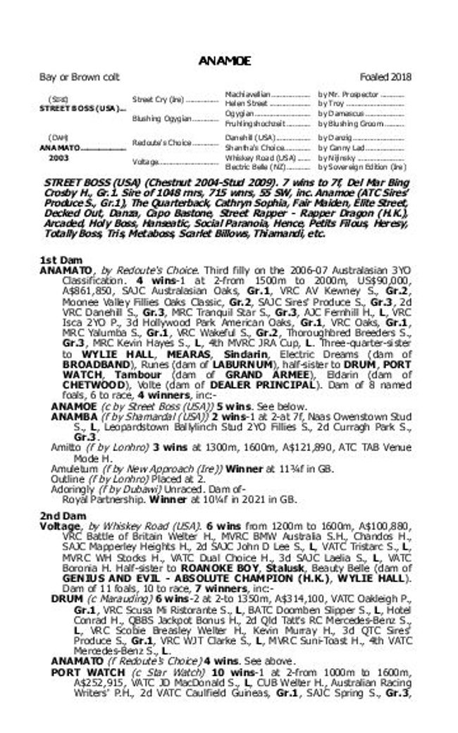 PDF document image preview