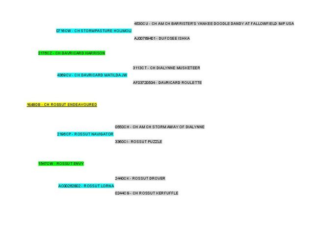 PDF document image preview