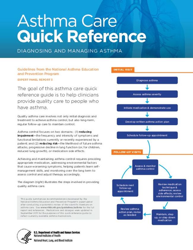 PDF document image preview